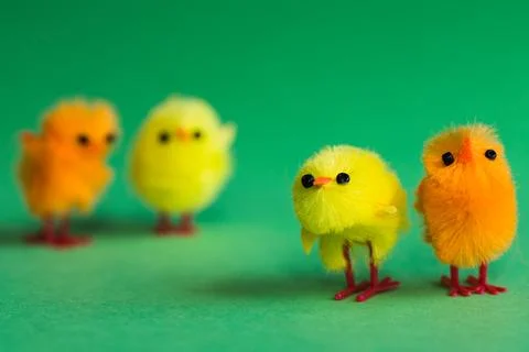 Miniature Easter chicks Stock Photos