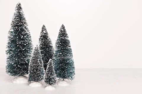 Miniature evergreen trees Stock Photos