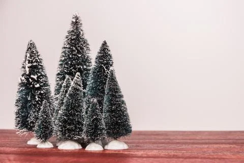 Miniature evergreen trees Stock Photos