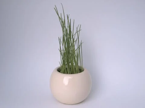 Miniature Flowerpot With Grass Stock Photos