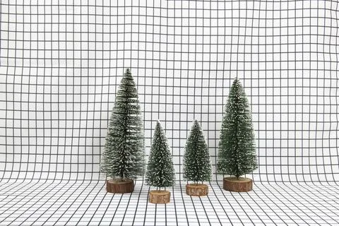 A miniature forest scene composed of several small christmas trees Stock Photos