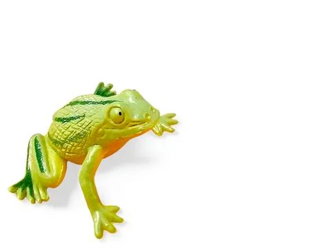 Miniature frog with stripes on its back isolated on white Stock Photos