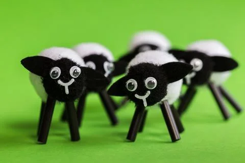Miniature lambs Stock Photos