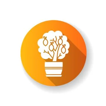 Miniature lemon tree orange flat design long shadow glyph icon. Potted citrus Stock-Illustration