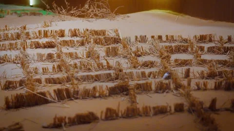 Miniature model of farmers making straw checkerboard barriers Stock Footage 306473964