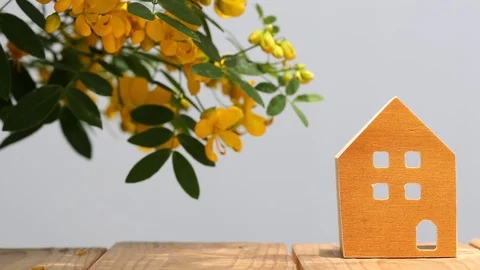 Miniature model of house with flower Stock Footage 76380370