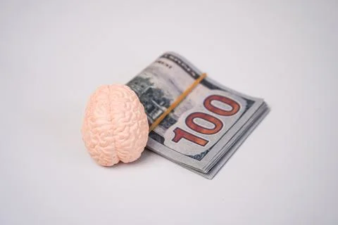 Miniature model of a human brain placed next to a rolled stack of one hundr.. Stockfoto's
