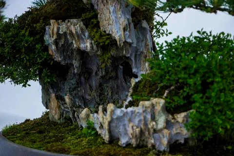 Miniature Mountain Tree Stock Photos