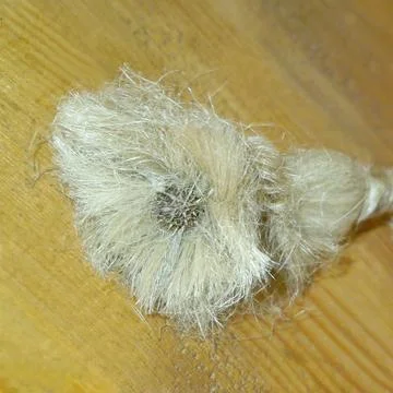 Miniature of nature Stock Photos