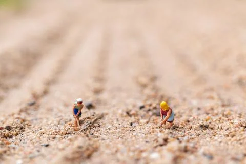 Miniature people : Farmer working plot in the desert Stock Photos