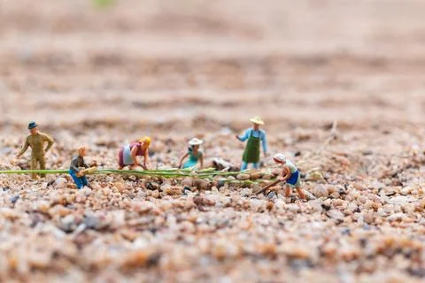 Miniature people : Farmer working plot in the desert Stock Photos
