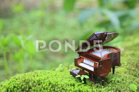 Miniature piano in nature Stock Photos