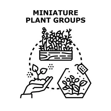 Miniature plant groups growing in various containers 스톡 일러스트