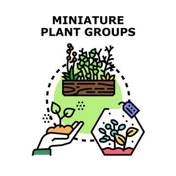 Miniature plant groups growing in various containers イラスト素材