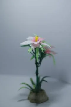 Miniature plants  Stock Photos