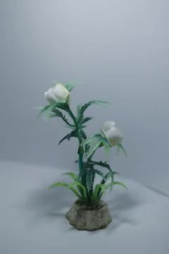 Miniature plants  Foto stock