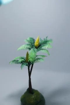 Miniature plants  Stock Photos