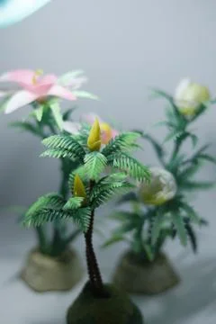 Miniature plants  Foto stock