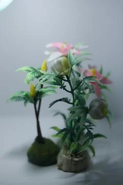 Miniature plants  Stock Photos