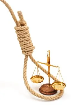 Miniature scale in halter Stock Photos