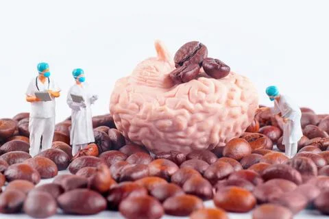 Miniature Scientists Examining Brain Model on Coffee Beans Background Foto stock