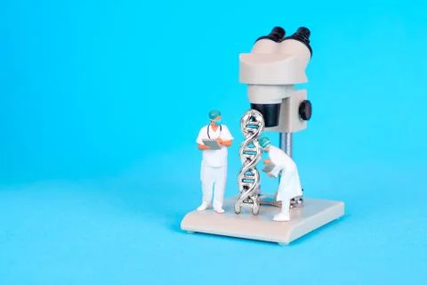 Miniature Scientists Examining DNA Structure Under Microscope In Biotechnol.. Stock Photos