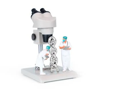Miniature Scientists Examining DNA Structure Under Laboratory Microscope Stock Photos