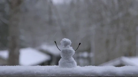 Miniature Snowman Video stock 124023851