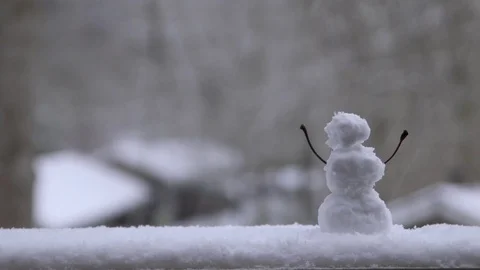 Miniature Snowman Video stock 124023954