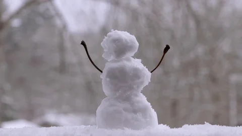 Miniature Snowman Video stock 124023956