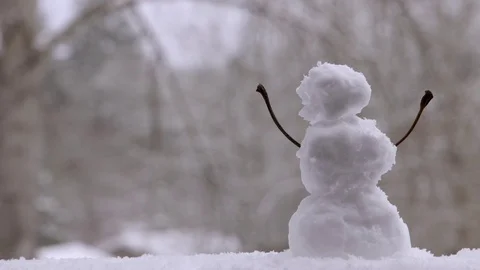 Miniature Snowman Video stock 124024061