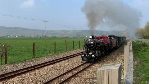 Miniature steam railway Stock Footage 105953921