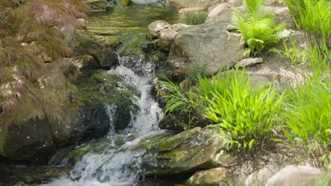 A miniature stream rolls its waters over the rocks in the meditation 動画素材 247163116