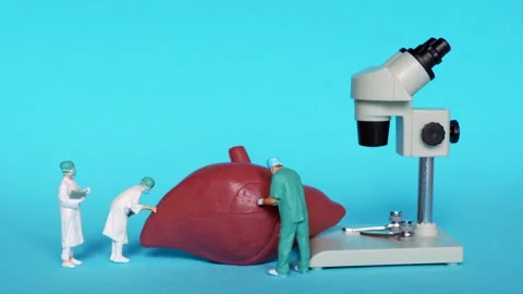 Miniature Surgeons Analyzing Human Liver with Microscope Stock Footage 285939441