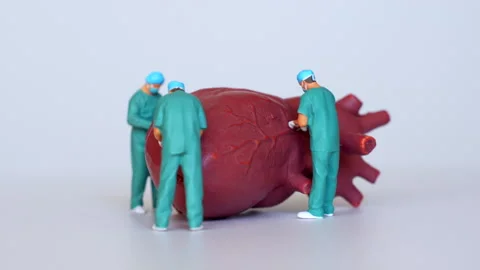 Miniature Surgeons Operating on a Model of Human Heart Stock Footage 285149668