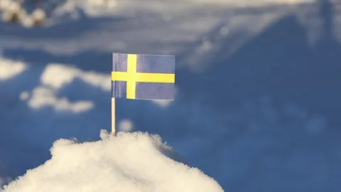 Miniature Swedish flag Video stock 304630988