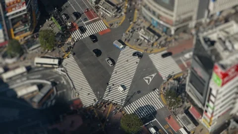 Miniature tilt-shift effect of shibuya crossing in tokyo Stock Footage 325296536