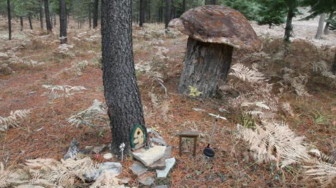 Miniature Tree Home Stock Footage 40812888