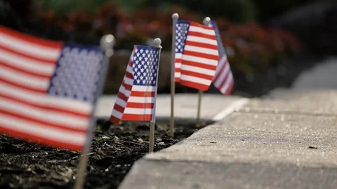 Miniature USA Flags Blowing in Wind, Summer Holiday 4K Vídeos de archivo 108505667