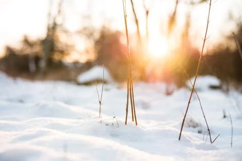 Miniature Winter Landscape Stock Photos