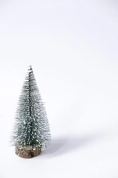 Miniature winter pine tree with snow. Festive christmas and holiday atmospere Stock Photos
