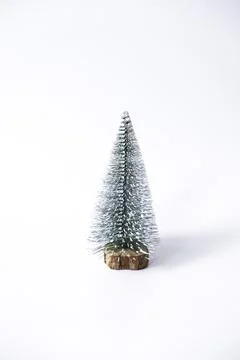 Miniature winter pine tree with snow. Stock Photos