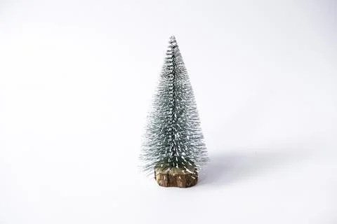 Miniature winter pine tree with snow. Festive christmas and holiday atmosphere Stock Photos