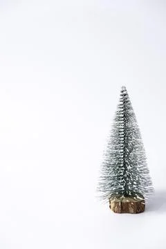 Miniature winter pine tree with snow. Festive christmas and holiday atmosphere Stock Photos
