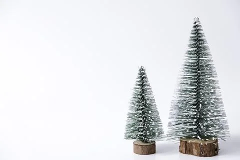 Miniature winter pine trees with snow. Festive christmas and holiday atmosphere Stock Photos