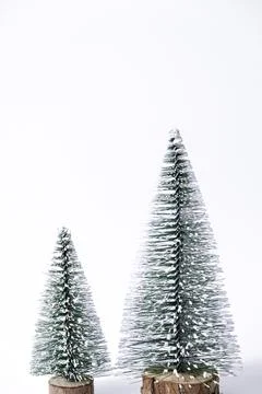 Miniature winter pine trees with snow Stock Photos