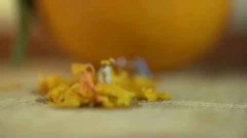 Miniature workers work on orange peel Stock Footage 127169269