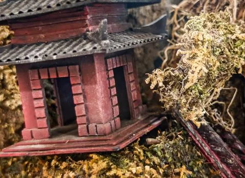 Miniature Zen Temple Surrounded by Moss in a Tiny Garden Dioramas Stock Photos
