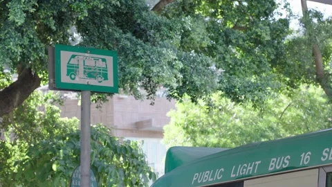 Minibus stop sign with tree in background Video stock 217423586