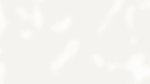 Minimal Abstract Background Animation – Soft Fluid Forms (60s, Loop, Full HD) Stock Footage 304898022